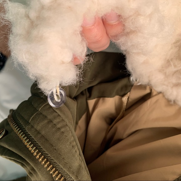 Zara Jacket - Picture 5 of 5